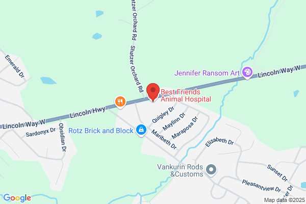 Best Friends Animal Hospital
