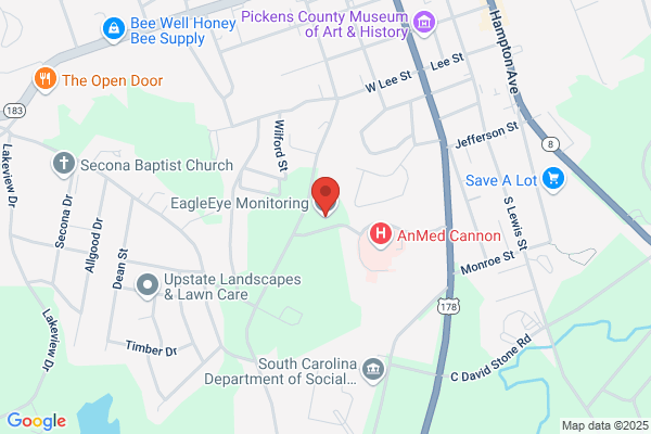 Eagle Eye Surveillance Inc