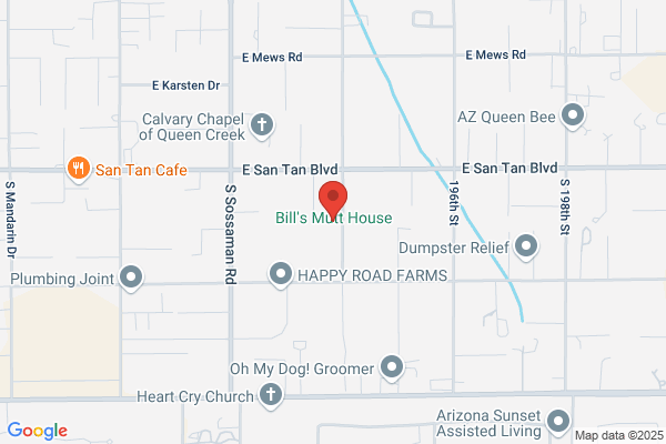 Bill's Mutt House