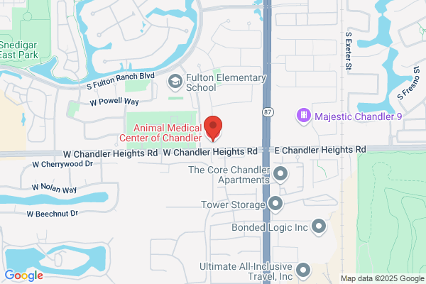 Animal Medical Center of Chandler