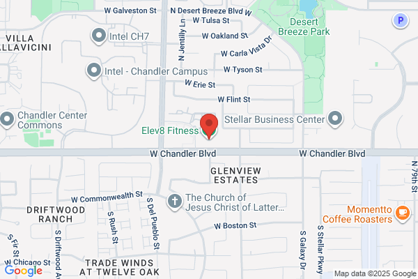 Elev8 Fitness