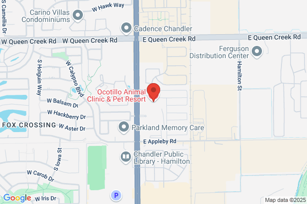 Ocotillo Animal Clinic & Pet Resort