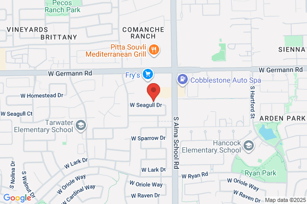 Tree Removal Chandler AZ