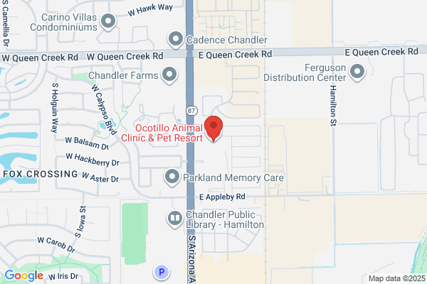 Ocotillo Animal Clinic & Pet Resort