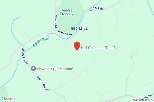 Hall Christmas Tree Farm