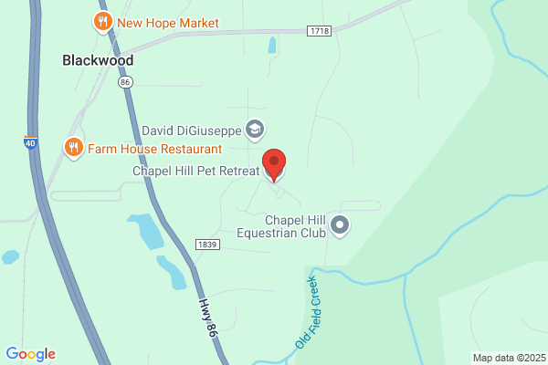 Chapel Hill Pet Sitters