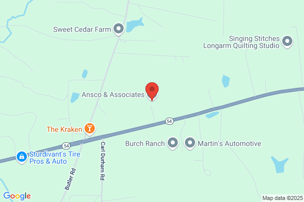 Ansco & Associates