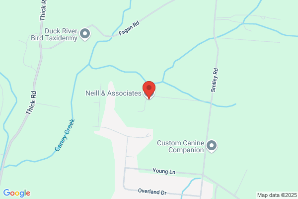 Neill & Associates