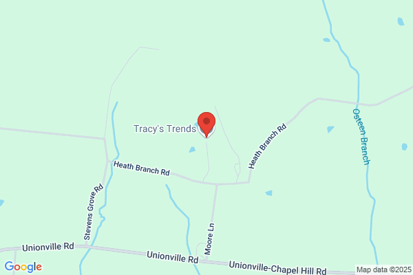Tracy's Trends