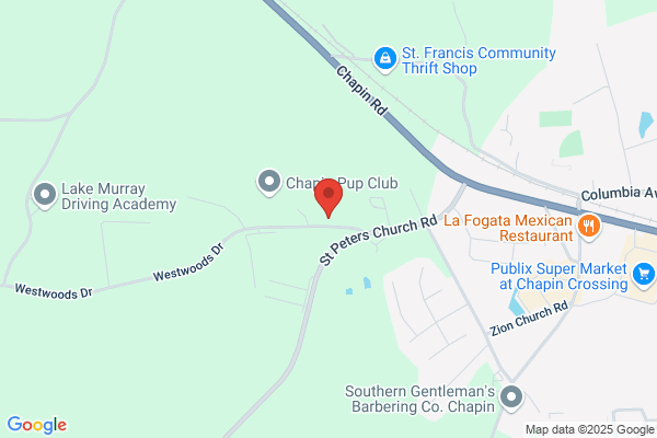 Chapin Collision Services