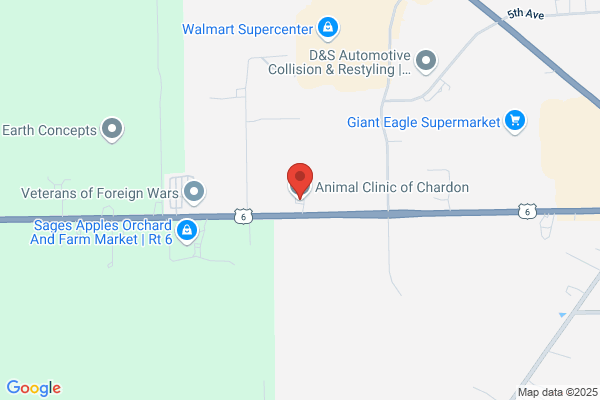 Animal Clinic of Chardon