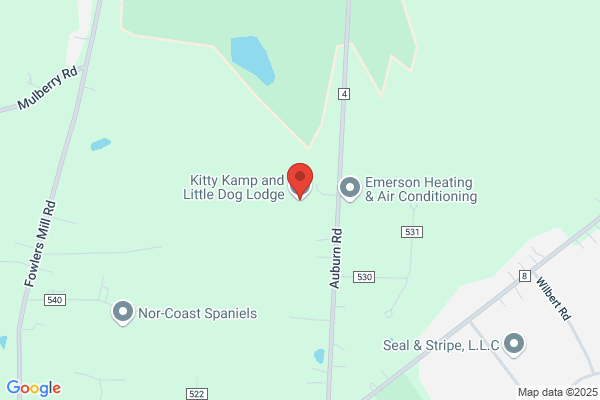 Kitty Kamp and Little Dog Lodge