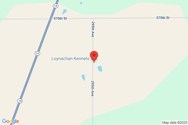 Loynachan Kennels