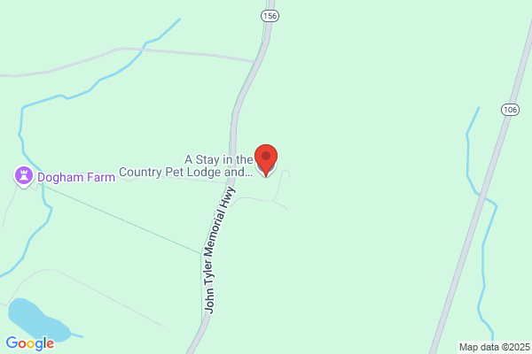 A Stay In The Country Pet Lodge and Training Center
