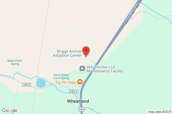 Briggs Animal Adoption Center