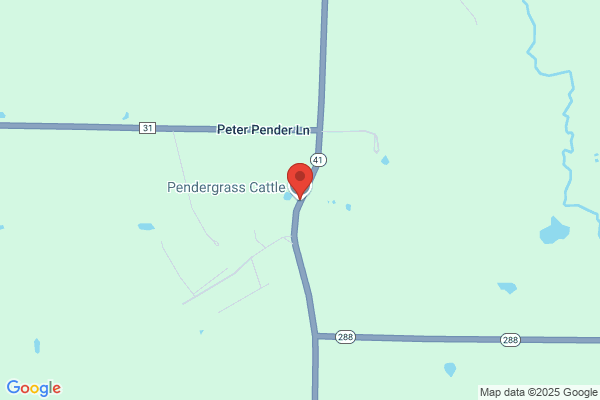 Pendergrass Cattle Co Inc