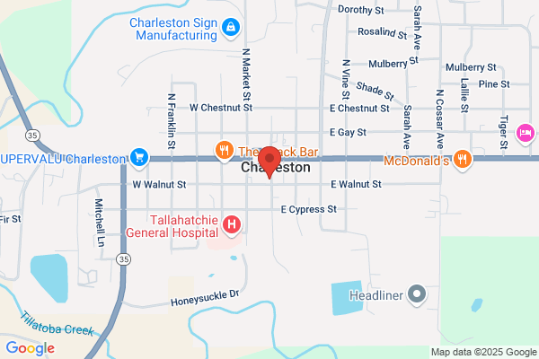 Charleston Utilities Inc