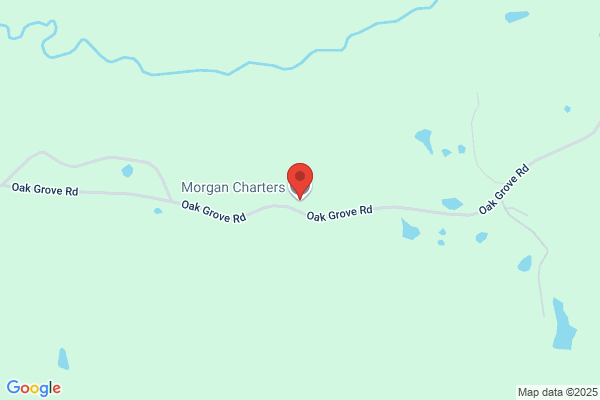 Morgan Charters