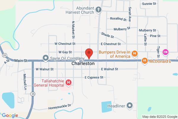 Movie Store of Charleston the