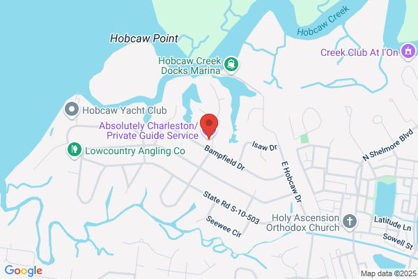 Official Guides To Charleston Co