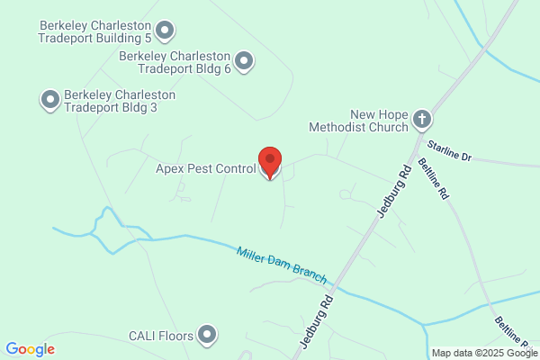 Apext Pest Management