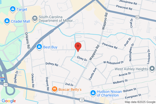 Charleston Pet Resort