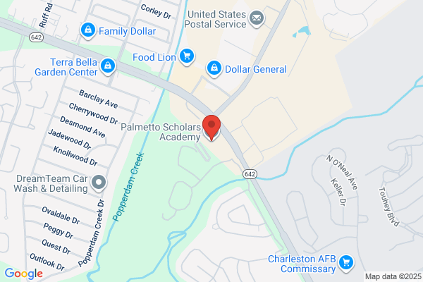 Palmetto Academy