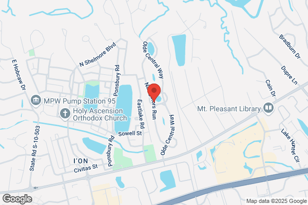 Olde Towne Villa Homeowners Association