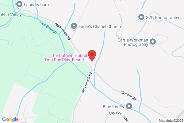The Uptown Hound Dog Day Play, Resort & Ranch
