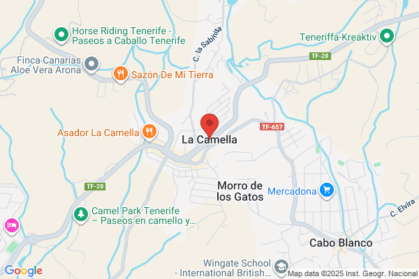 A Camella