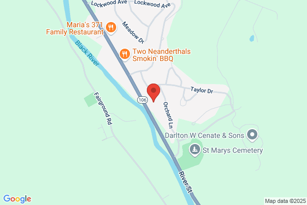 Springfield Area Public Access