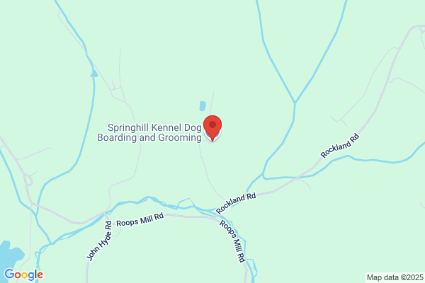 Springhill Grooming & Kennel