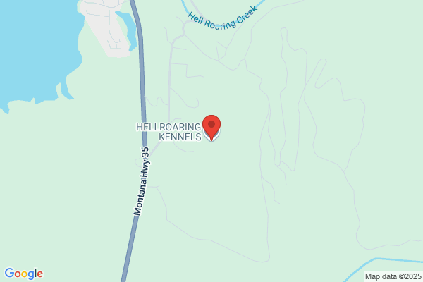 Ldr Kennels