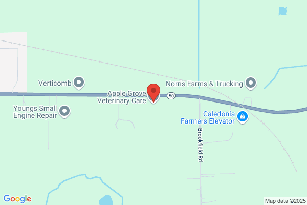 Apple Grove Vet Care
