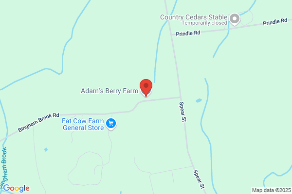 Bingham Brook Farm