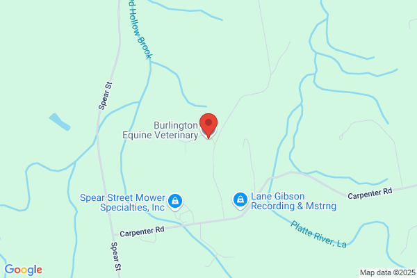 Burlington Equine Veterinary Services Llc
