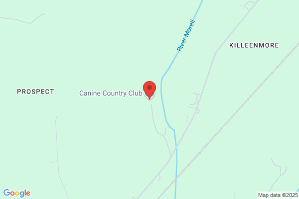 Club Canine Kennel
