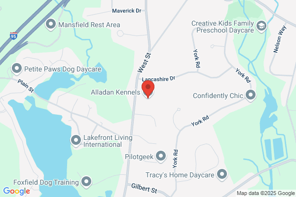 Kalmia Kennels