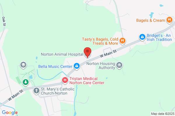 Norton Animal Hospital