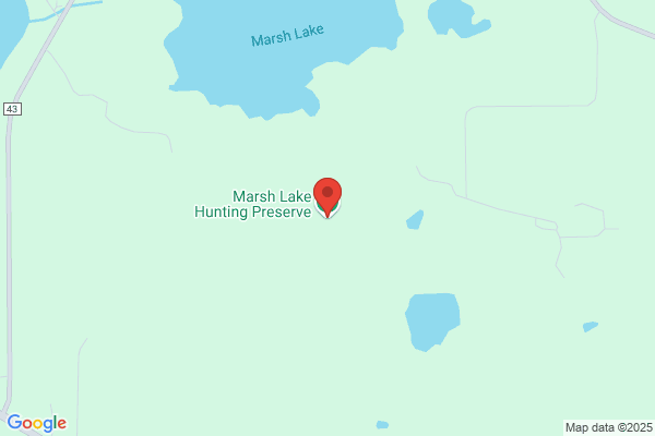 Marsh Lake Hunting Preserve Inc