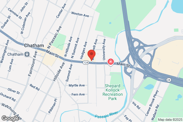 Harmony Pediatric Therapy - Chatham