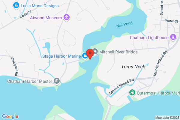 Chatham Charters Fishing