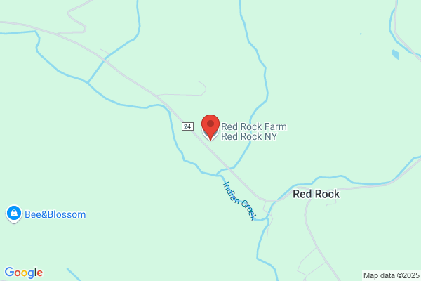 Lee Arthur of Red Rock Inc