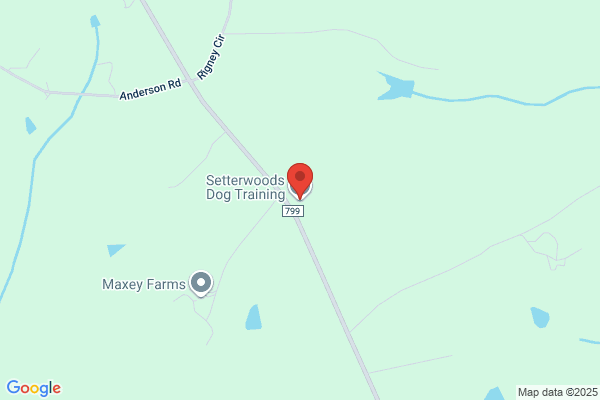 Setterwoods Dog Training