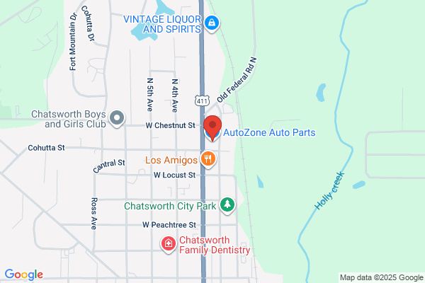 AutoZone Auto Parts