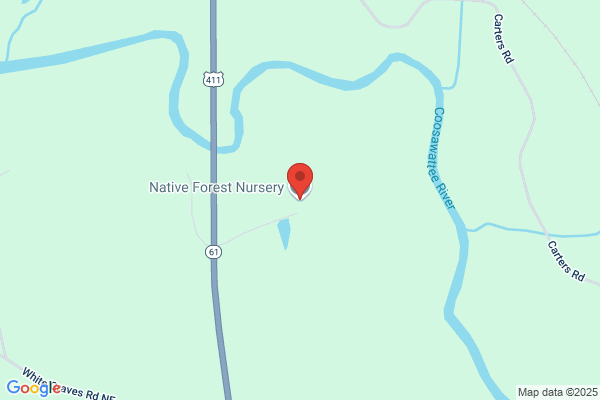 Native Forest Nursery