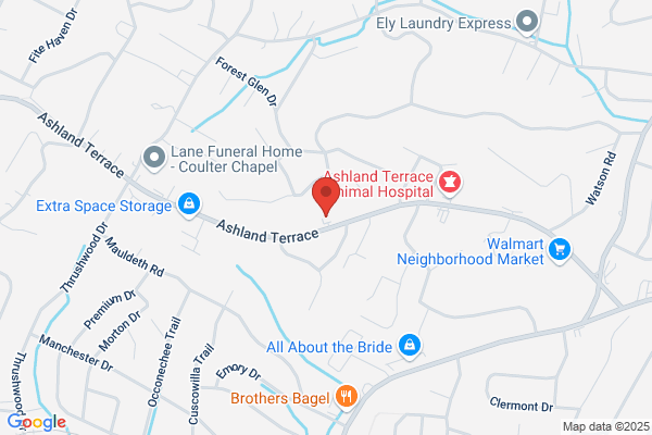 Jones Marion L CPA