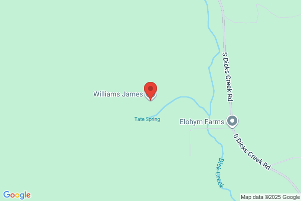 Williams James T