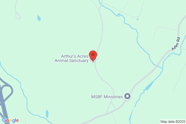Animal Charities of Northern Ny