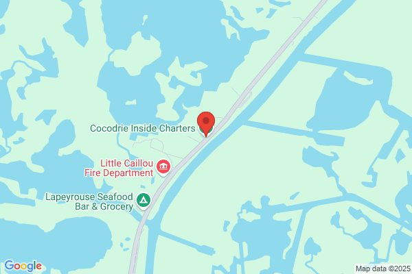 Sportsman's Paradise Charter Boats